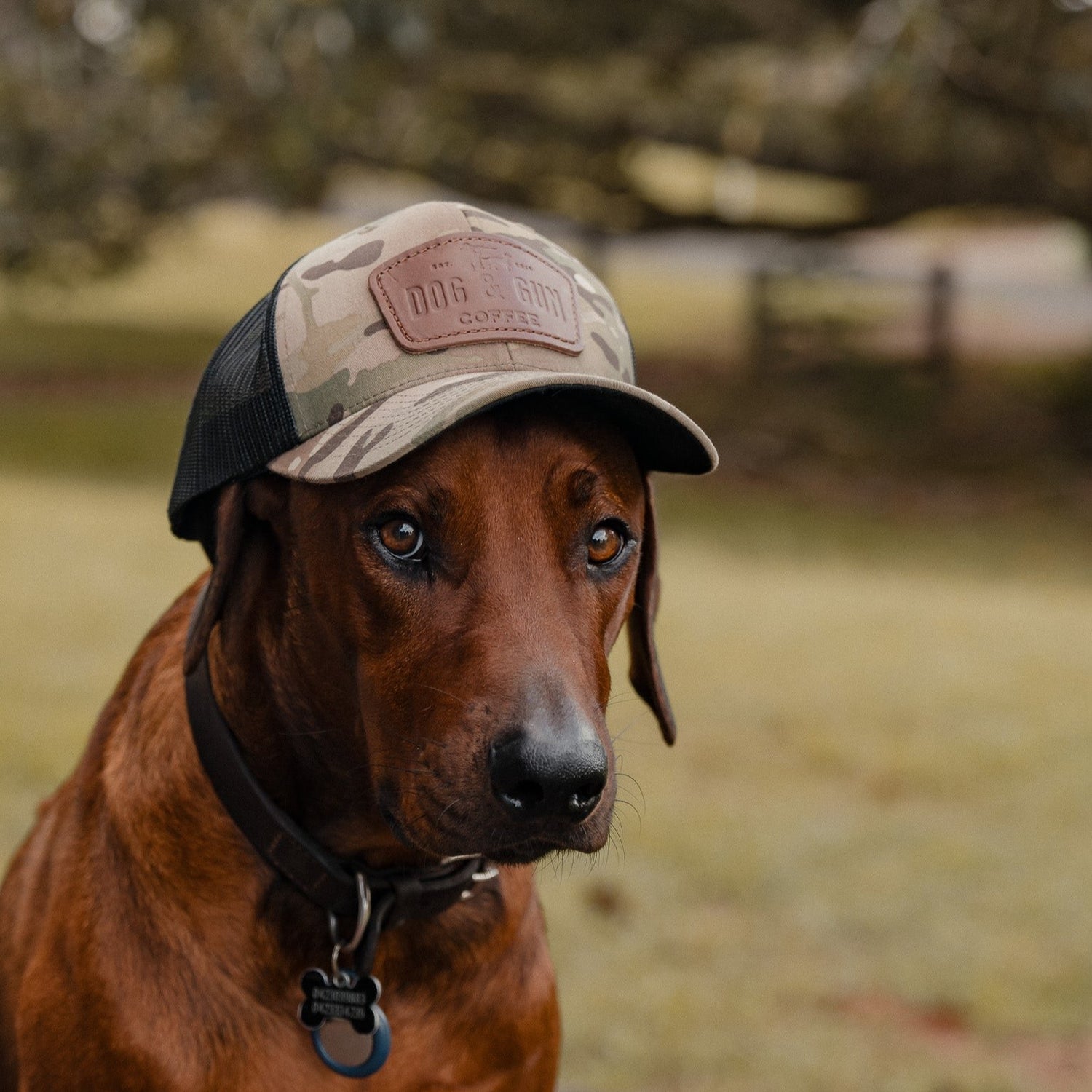 Dog & Gun Premium Leather Trucker Cap - Dog & Gun Coffee